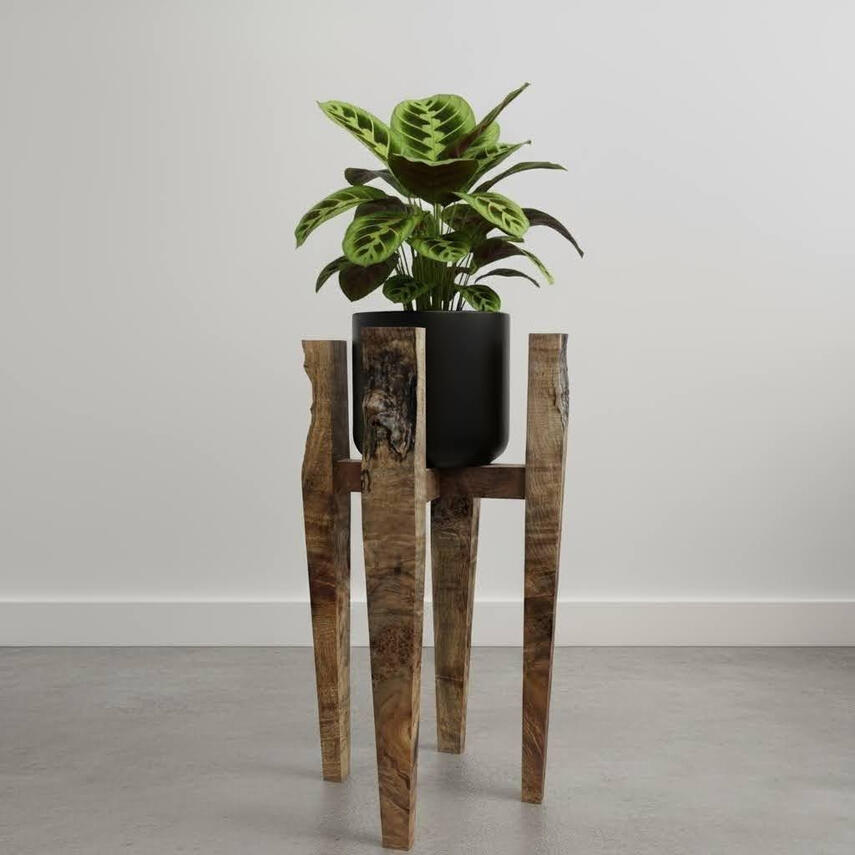 Maple Burl Plant Stand